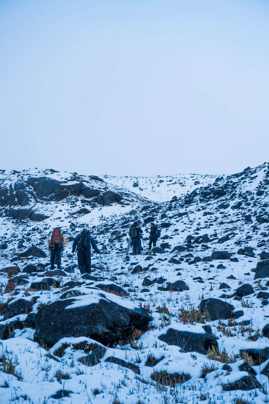 6-Day Rongai Route Kilimanjaro Trek photo 2