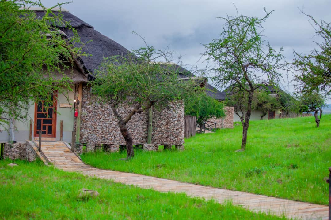 Serengeti Safari Lodge photo 11