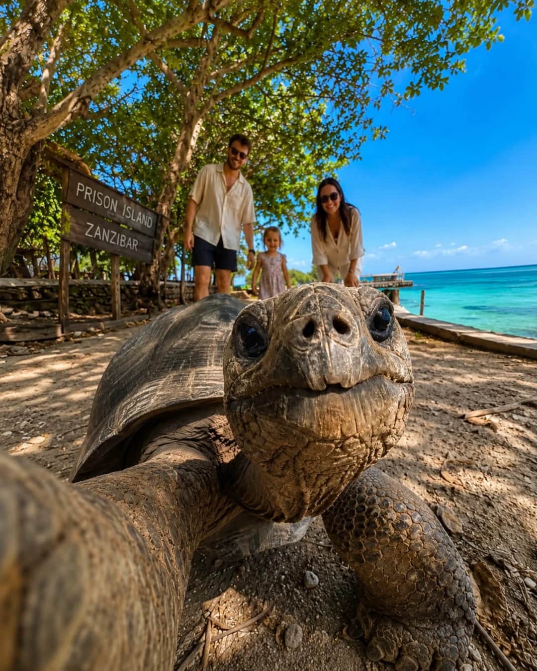 TANZANIA DAILY TOURS & SAFARI photo 2