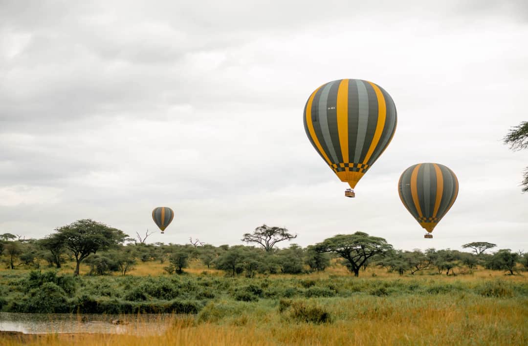 Enduata Safaris photo 3