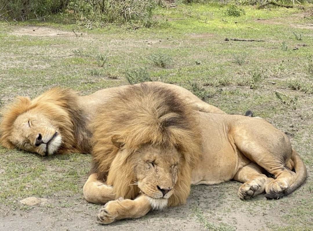 Northern Serengeti National Park