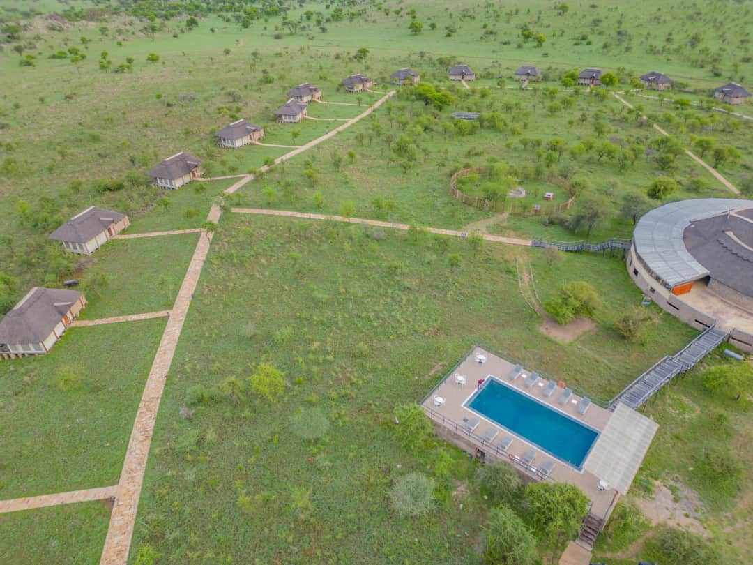 Serengeti Safari Lodge photo 3