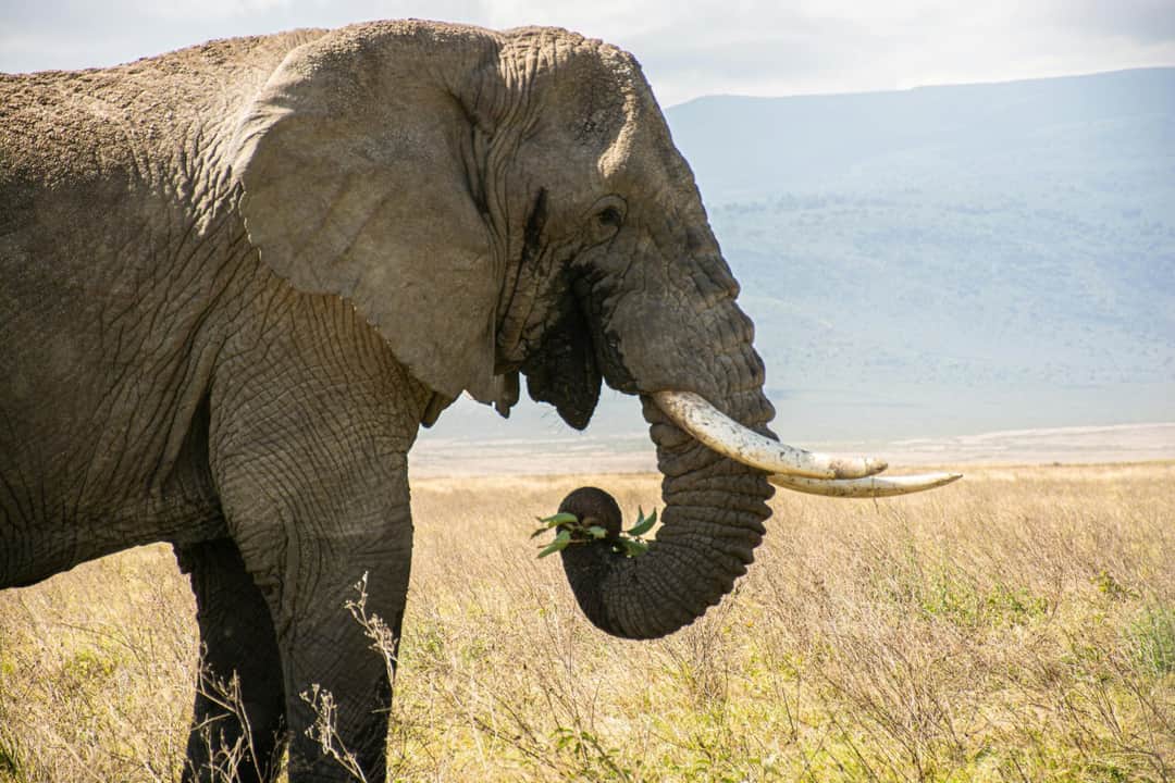 4-Day Whispers of Love in the Wild photo 16