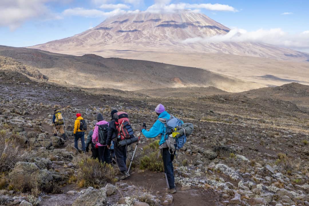 7-Day Lemosho Route Kilimanjaro Climb photo 2