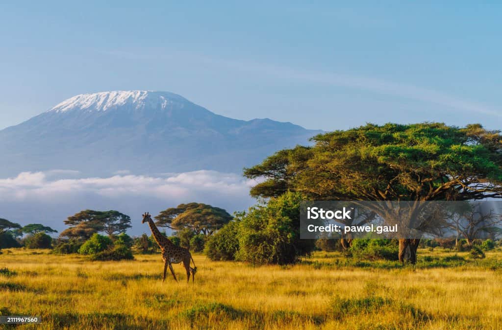 Transfer to Amboseli