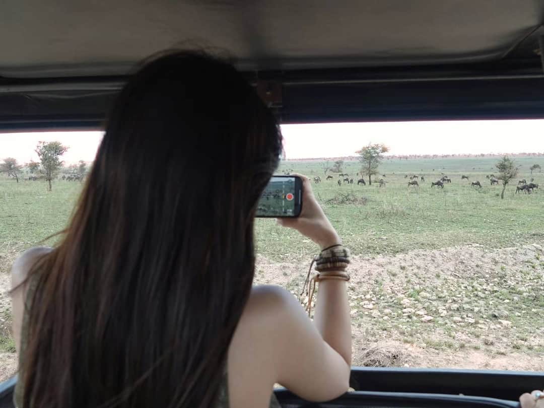 Lappet Faced Safaris photo 6