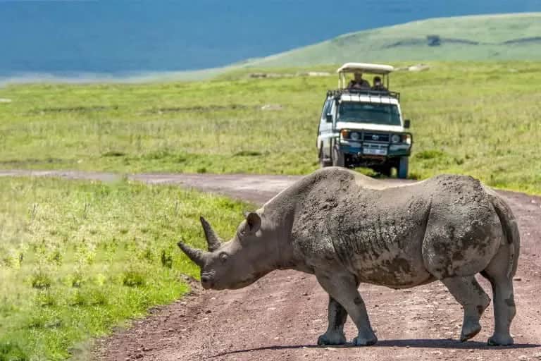 10-Day Ultimate Tanzania Safari & Zanzibar Escape photo 6