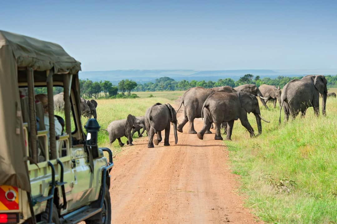 5-Day Day Tanzania Wildlife Safari Adventure photo 4