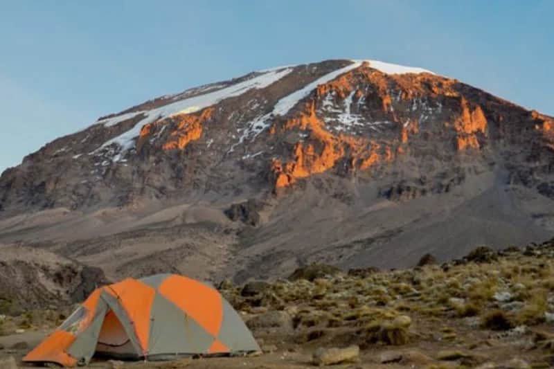 Nature Pulse Expeditions photo 8