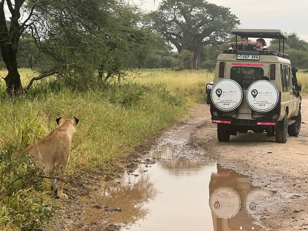 Pic a Place Safaris  LTD photo 3