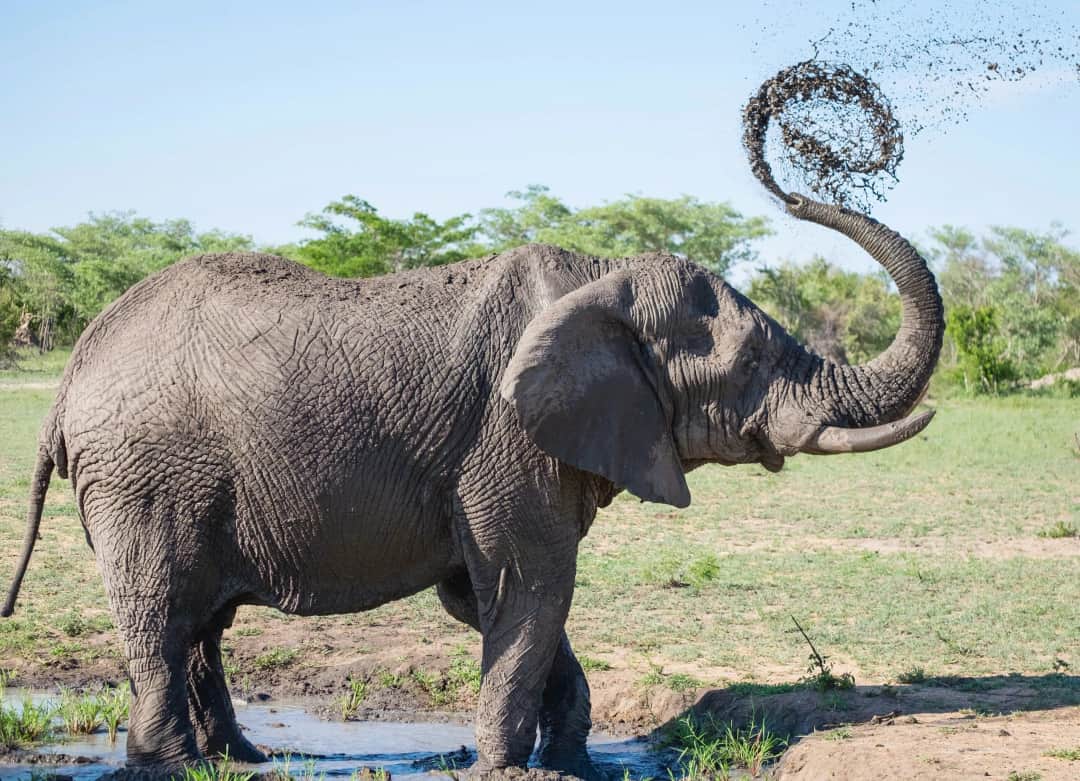 3-Day Jewels of Tanzania - Mid-Range photo 2