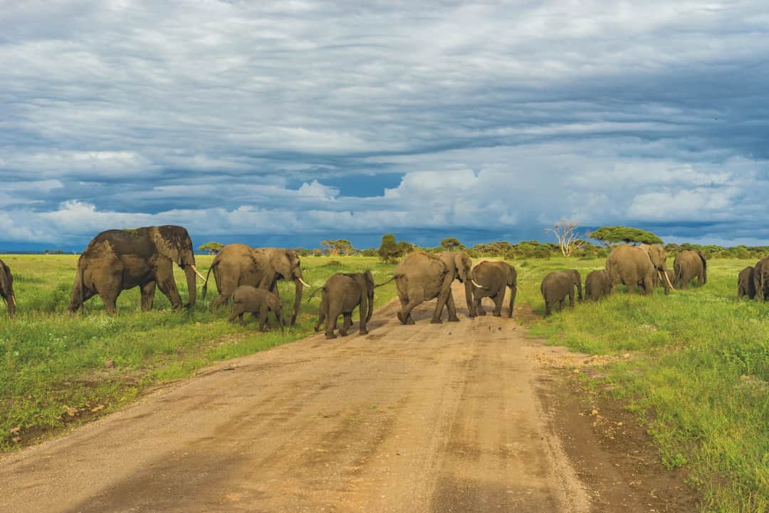 5-Day Tanzania Classic Safari