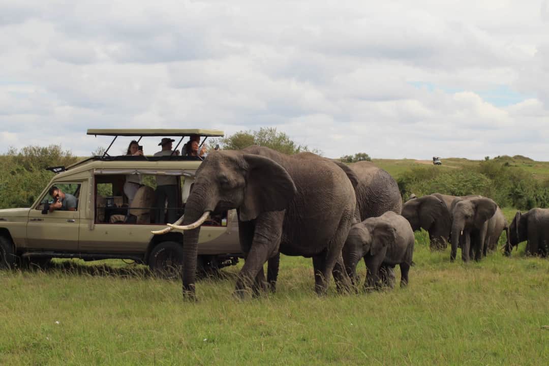 Vom Tarangire zur Serengeti – Pirschfahrt