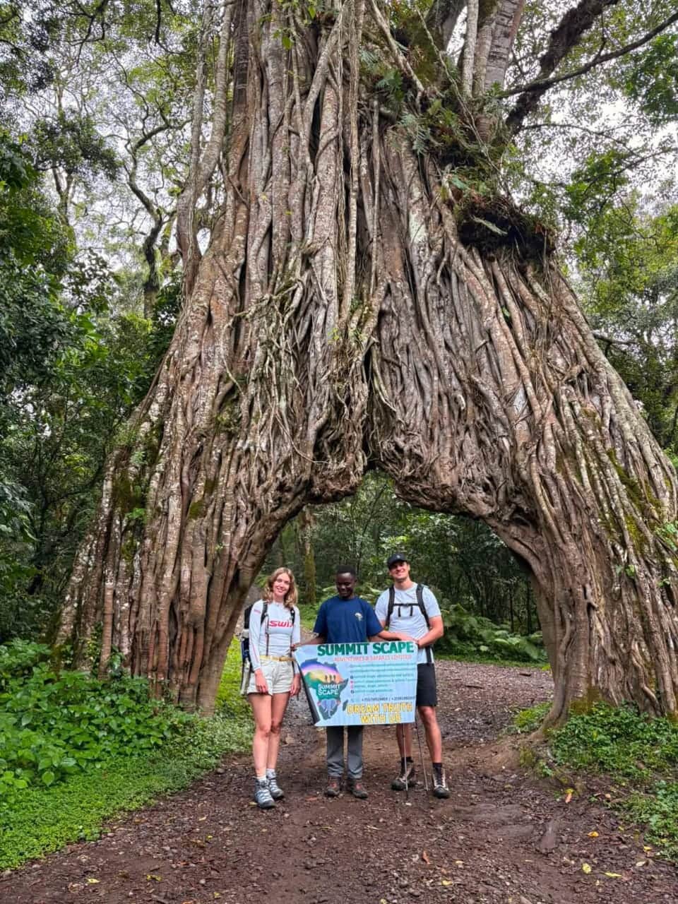 Arusha – Momella Gate – Miriakamba Hut