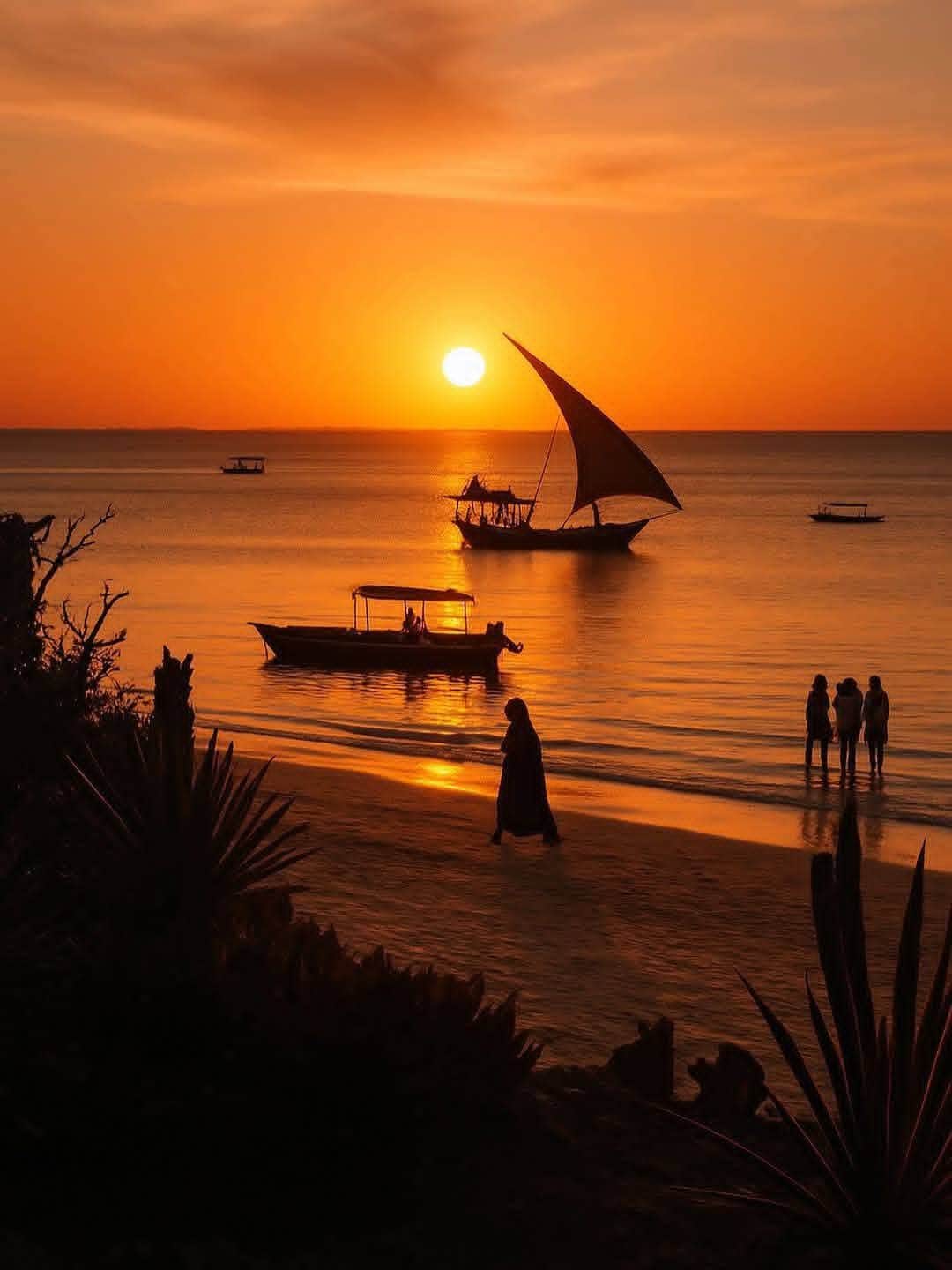 Velocity Zanzibar Tour & Safaris photo 34