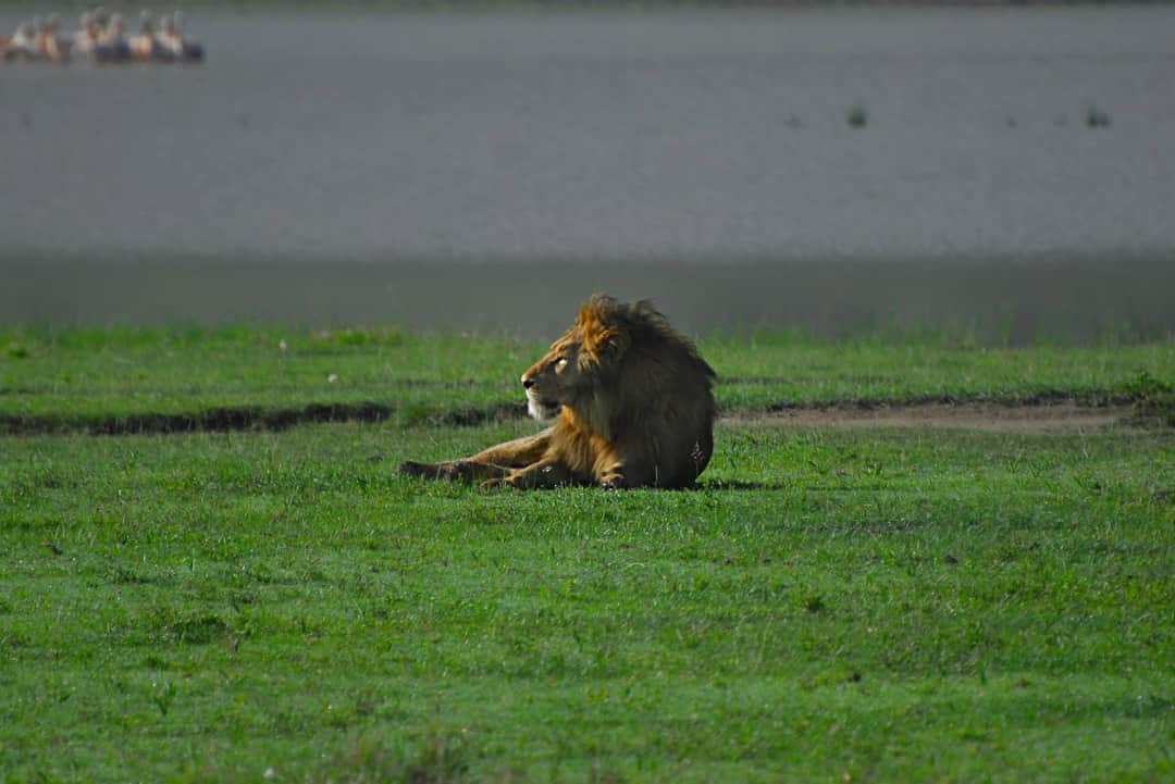 Ngorongoro Crater to Arusha Town