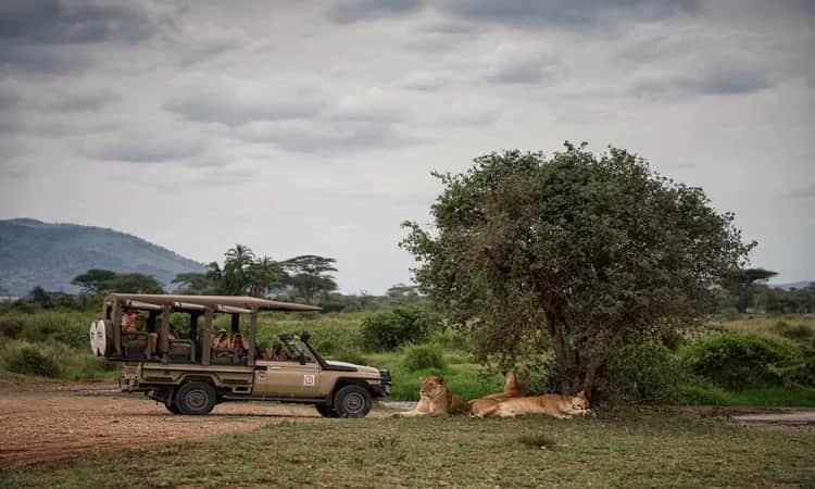 Matawi Serengeti Camp photo 9