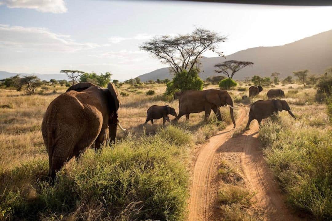 Arusha to Lake Manyara National Park