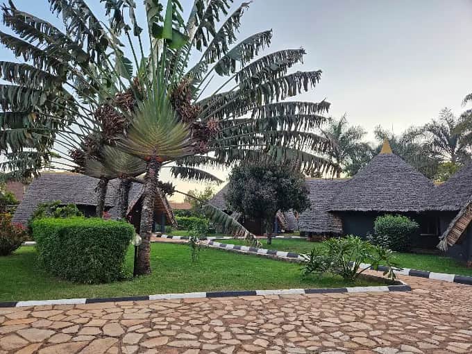 Safari Haven Migration Camp