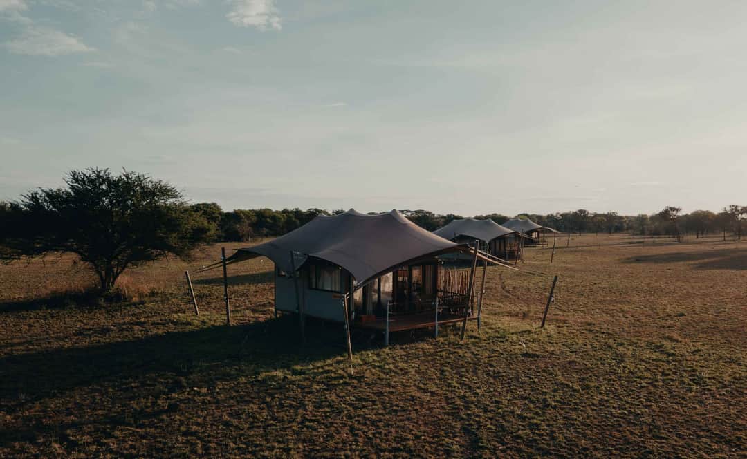 Escarpment Luxury Lodge photo 16
