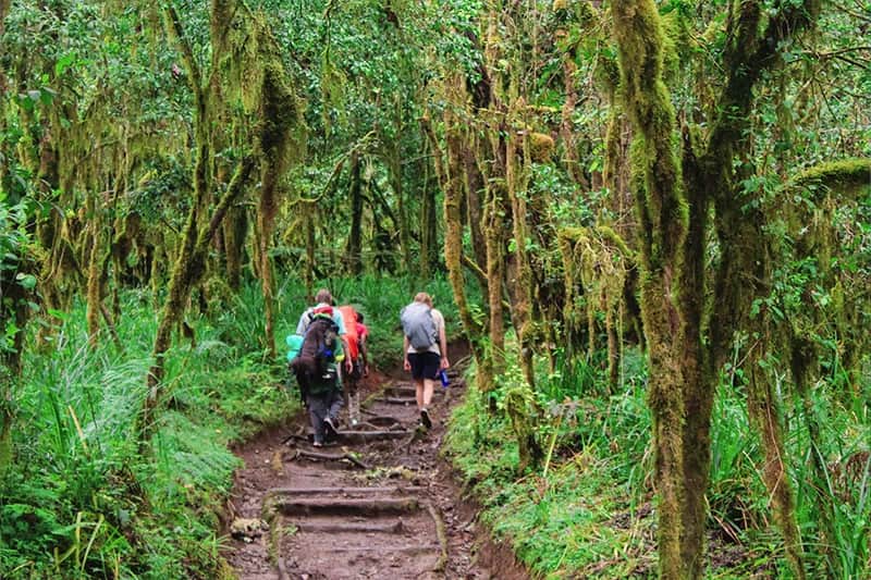 Nature Pulse Expeditions photo 7
