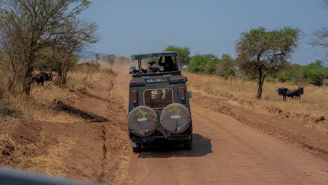 DASTEL TOUR AND SAFARIS photo 6