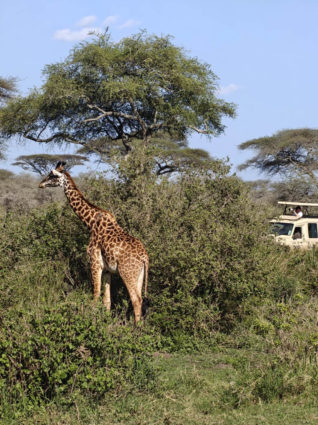 6-Day Classic Tanzania Big Five Quest photo 4