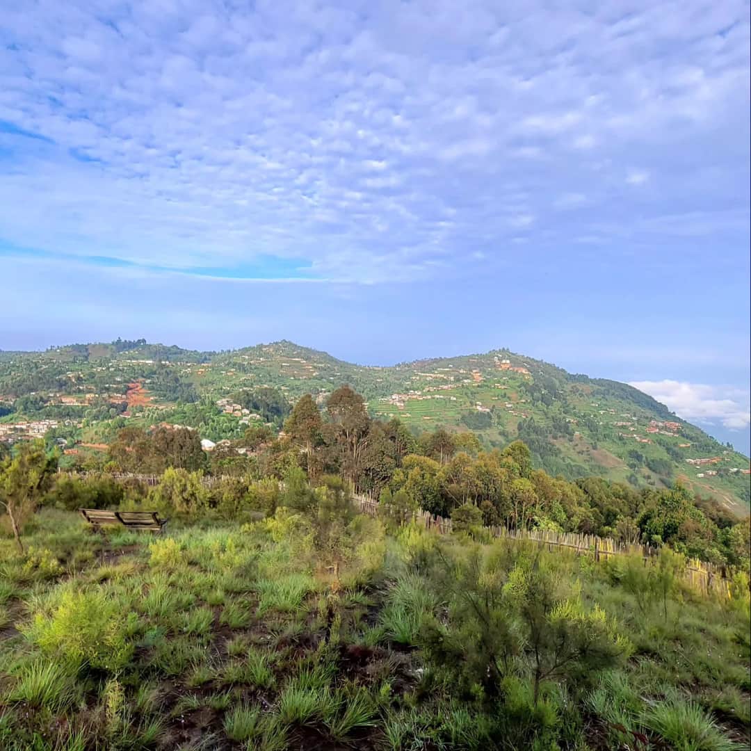 4-Day  Usambara Mountains-Mtae Trekking Tour photo 6