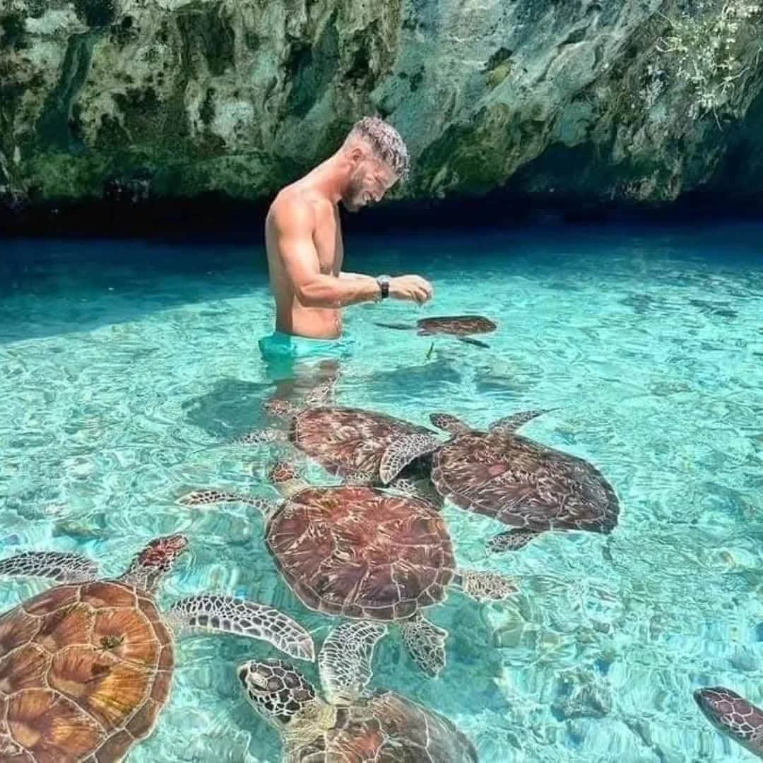 1-Day Zanzibar Snorkeling Day Trip photo 2