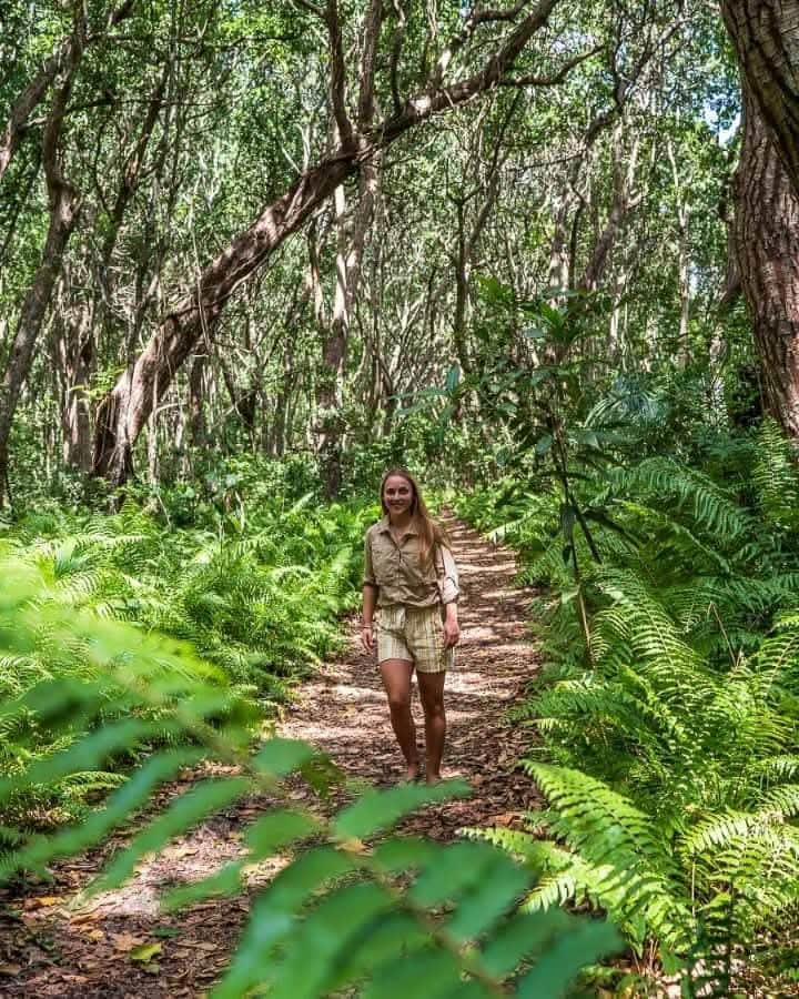 Velocity Zanzibar Tour & Safaris photo 31