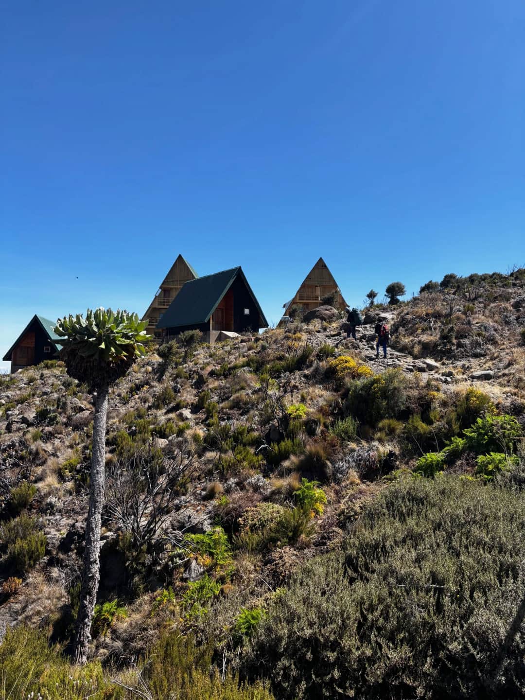 Marangu Gate to Mandara Hut (2,700m)