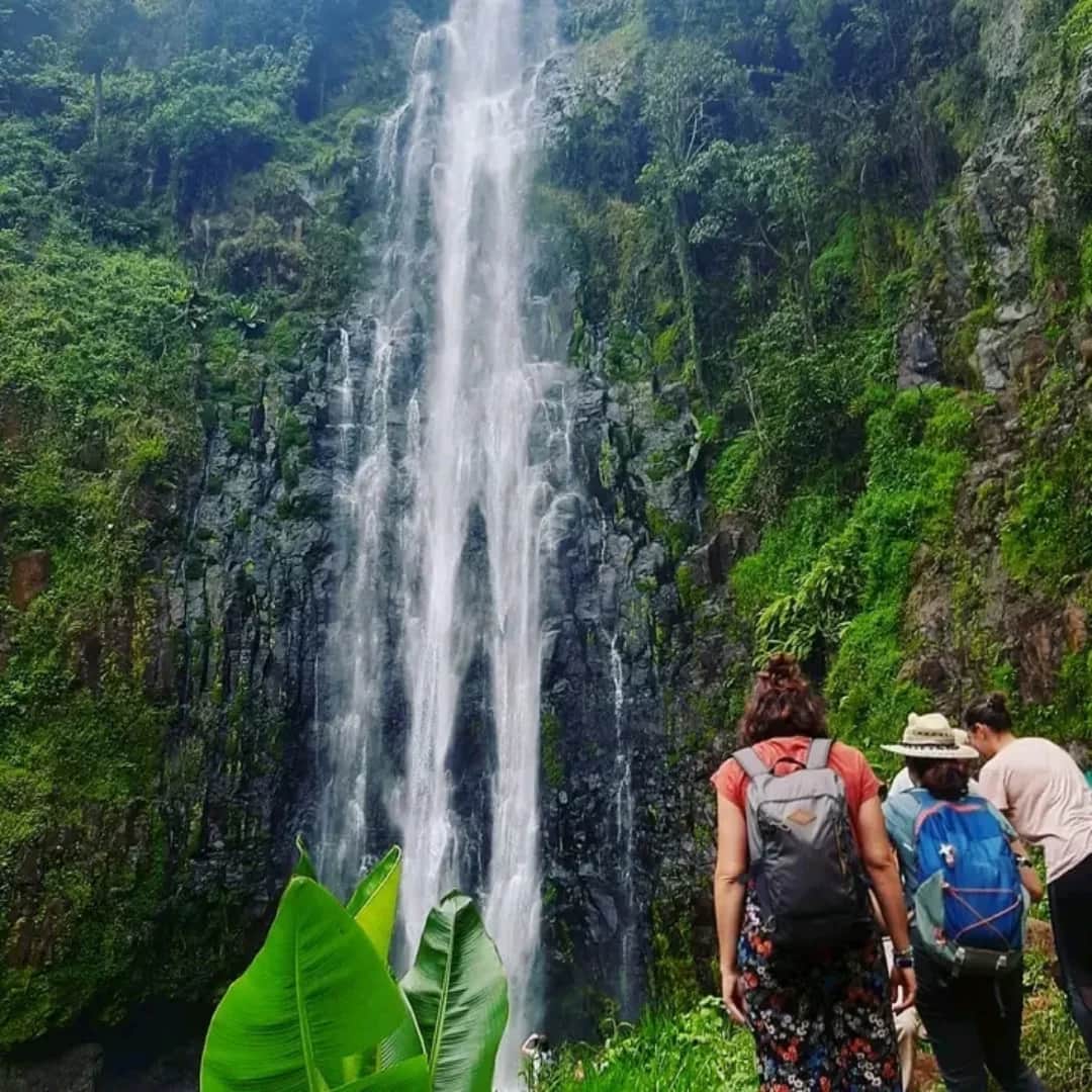 Materuni Village, Waterfall Hike, and Coffee Tour