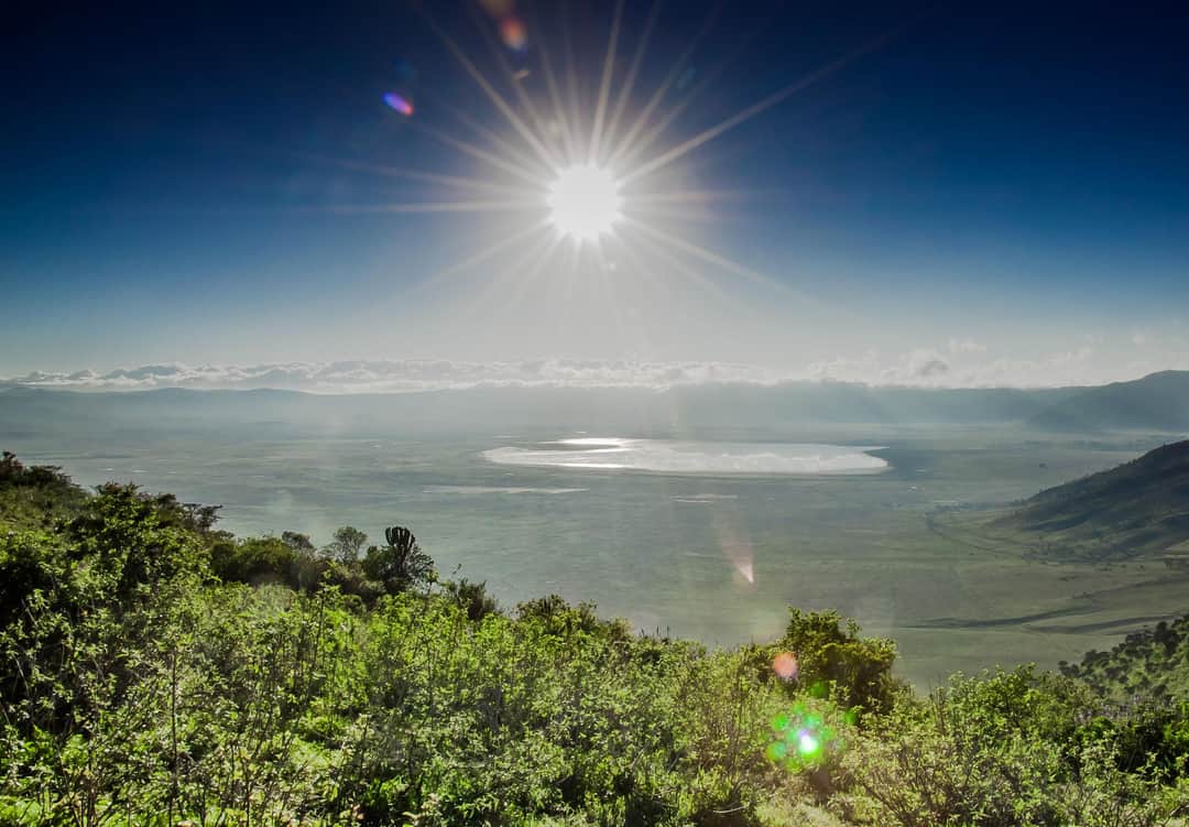 Ngorongoro Crater & Return to Arusha