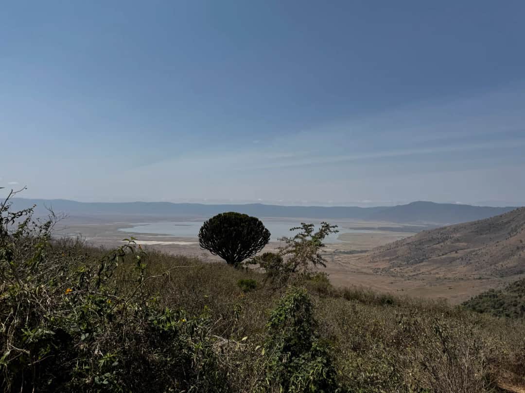 5-Day Tarangire Serengeti and Ngorongoro Crater photo 1
