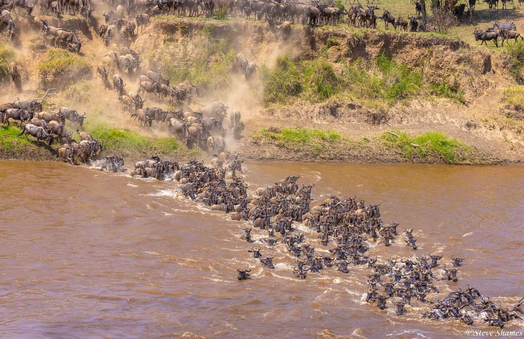 5-Day Great Serengeti Wildebeest Migrations Encounter photo 4