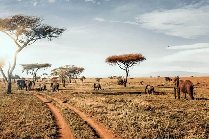 4-Day Journey into the Great Migration Wonderland photo 3