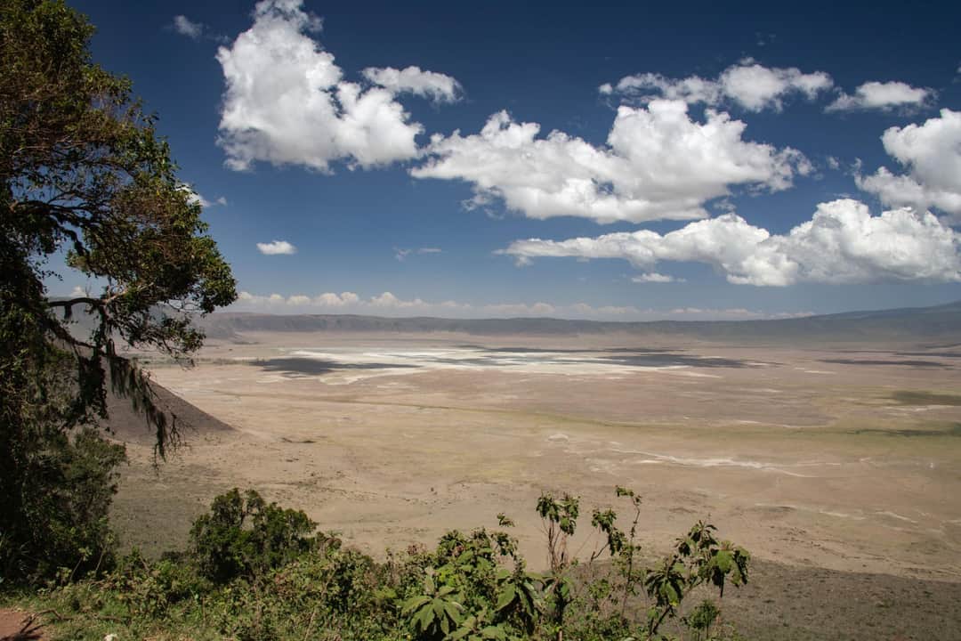 Ngorongoro Crater Wildlife Adventure