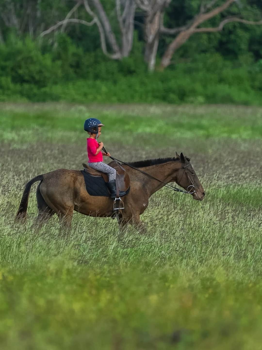 1-Day Scenic Horse Riding Day Tour photo 3
