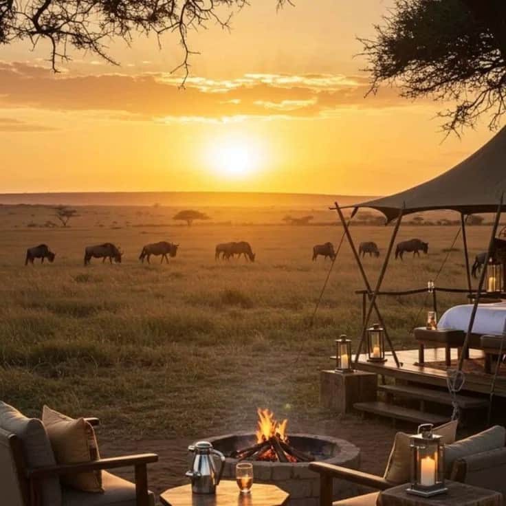 6-Day Mara, Serengeti & Ngorongoro in One Epic Journey photo 5