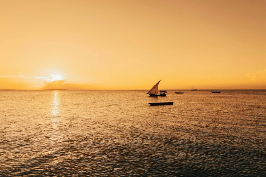 Sentio Safari photo 8
