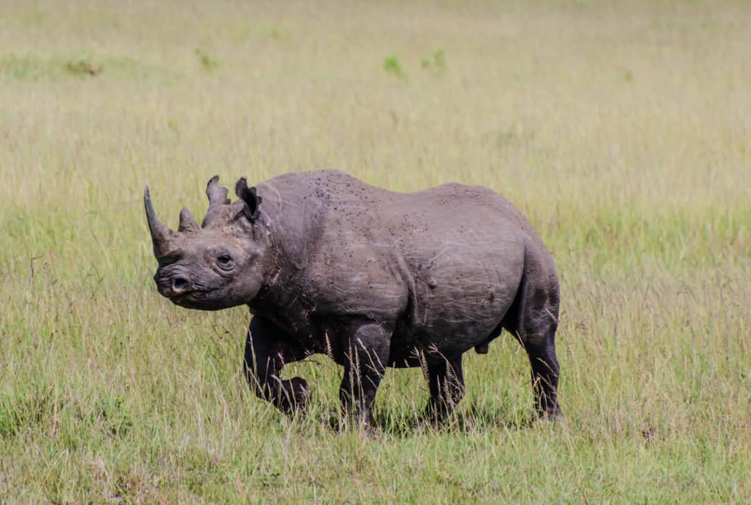 3-Day Jewels of Tanzania - Mid-Range