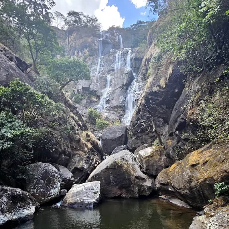 4-Day Mikumi & Udzungwa Mountains Safari
