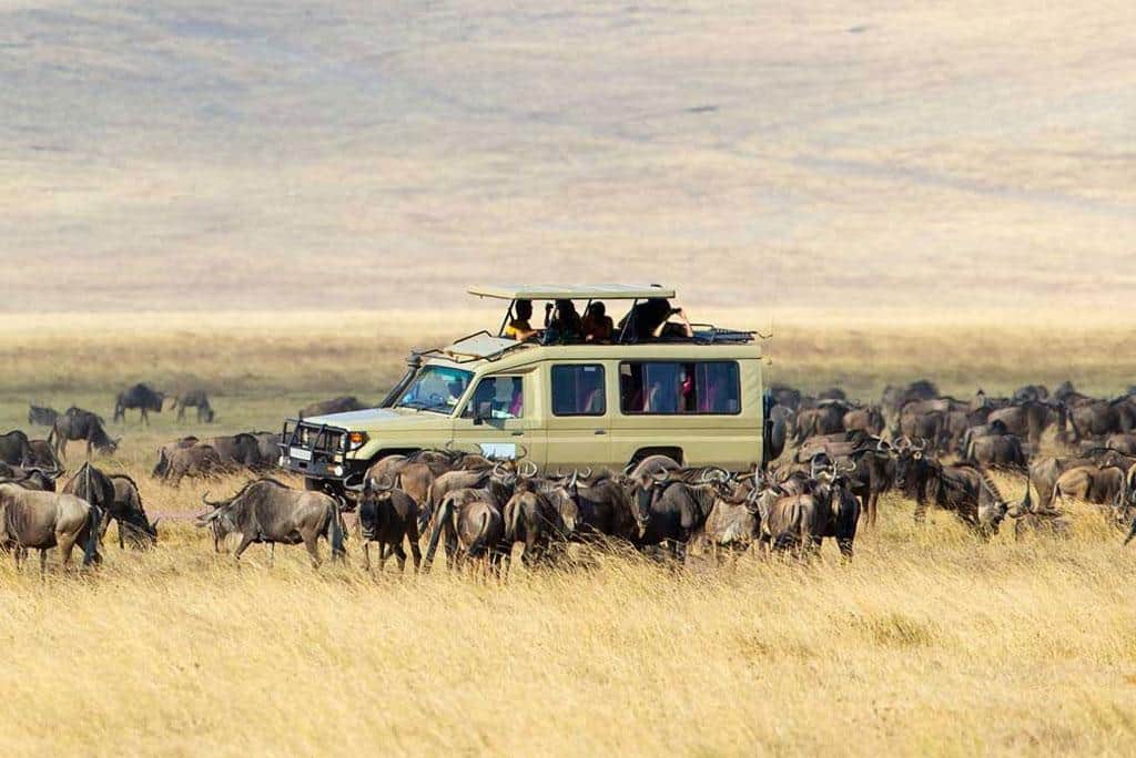 5-Day Great Serengeti Wildebeest Migrations Encounter photo 5