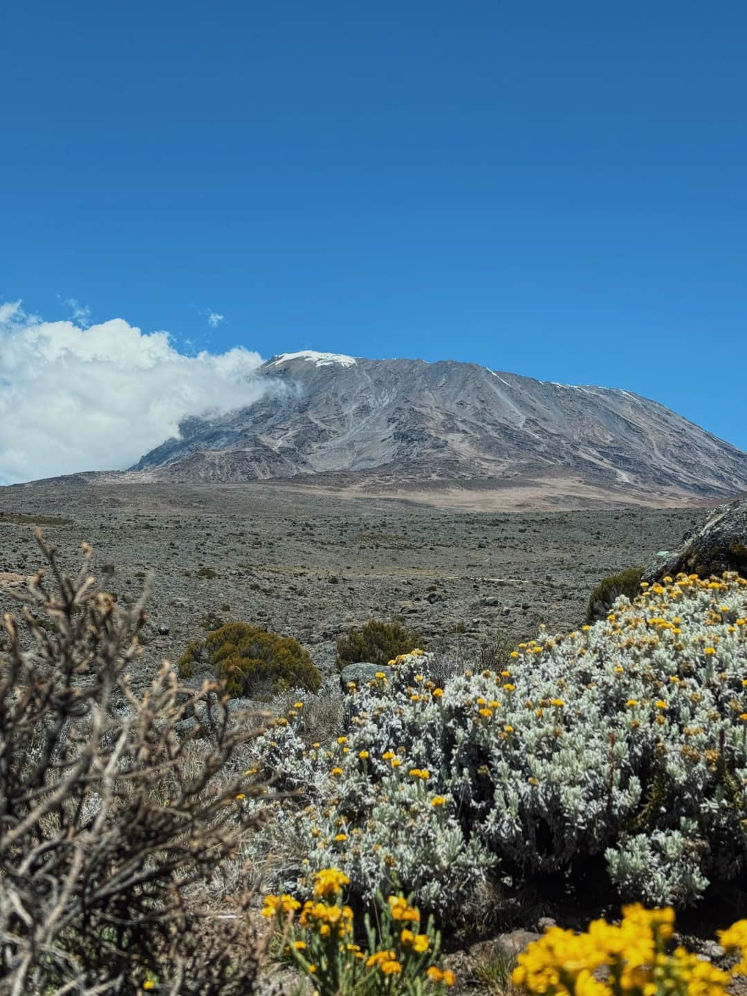 6-Day Rongai Route Kilimanjaro Trek