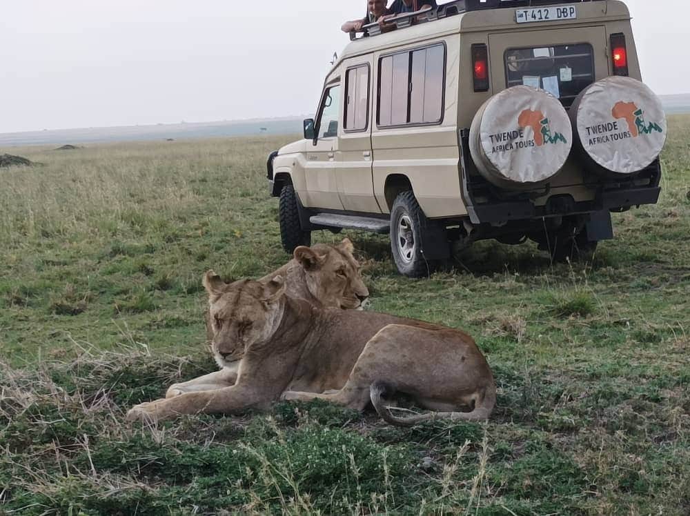 6-Day The Great Serengeti Migration Safari photo 2