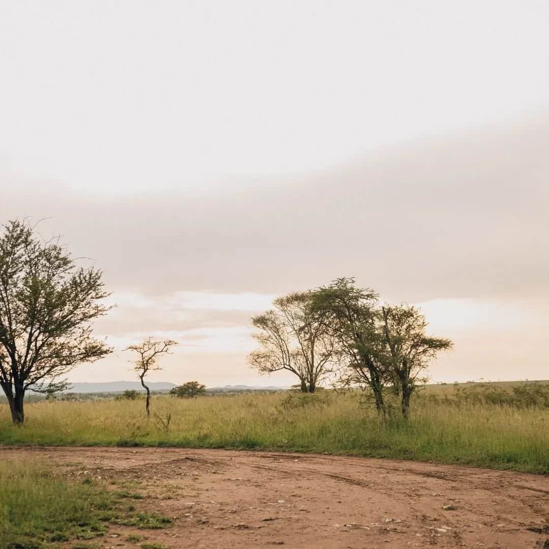 3 days Ngorongoro & Serengeti