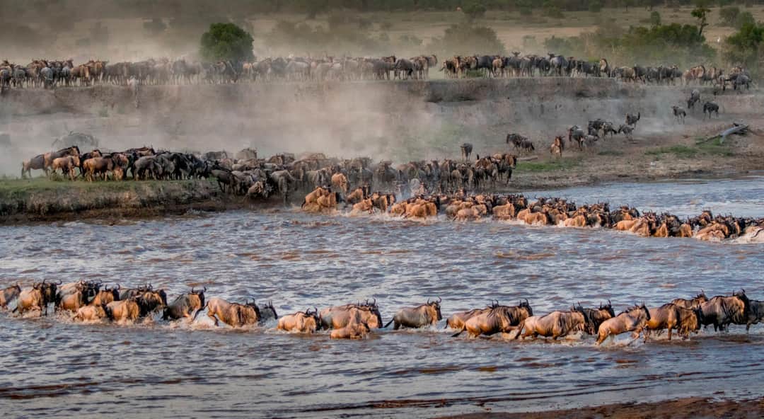5-Day Great Serengeti Wildebeest Migrations Encounter photo 3