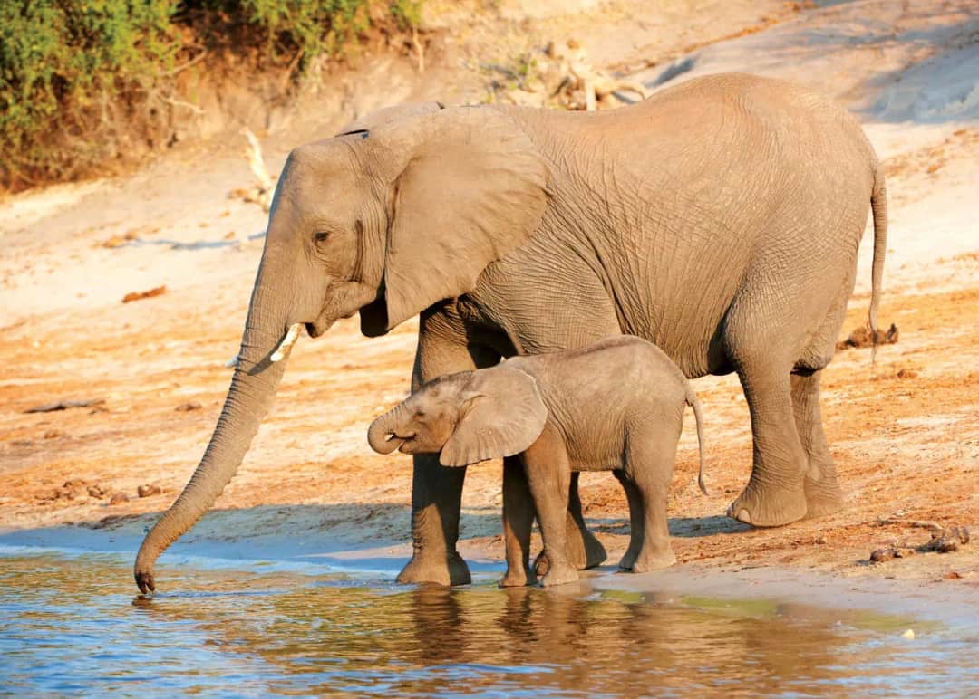 Hwange National Park