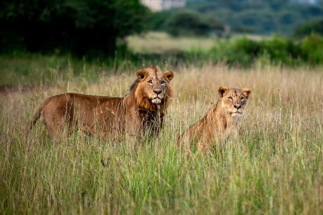 Nairobi