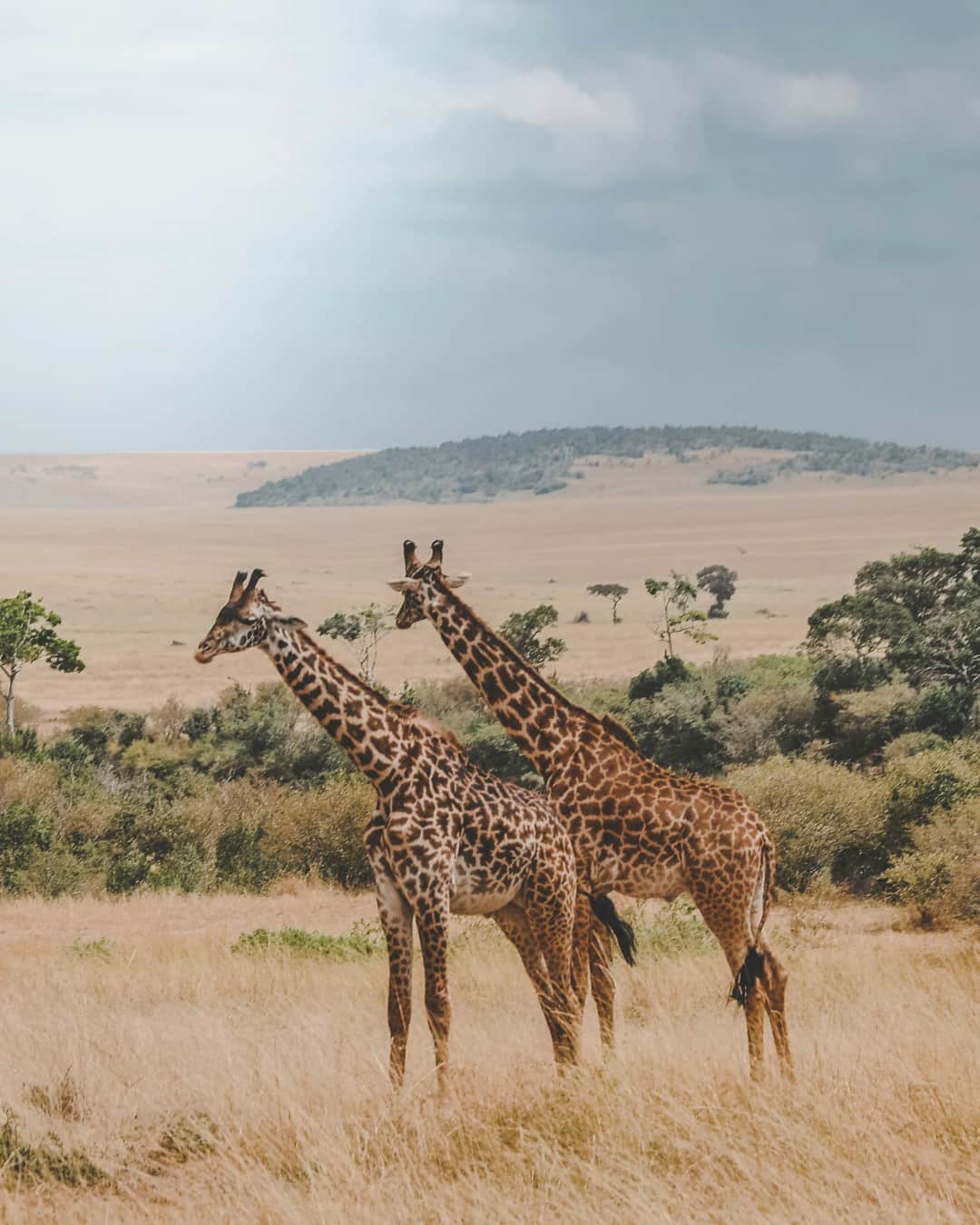 3-Day Serengeti Flight Safari Package